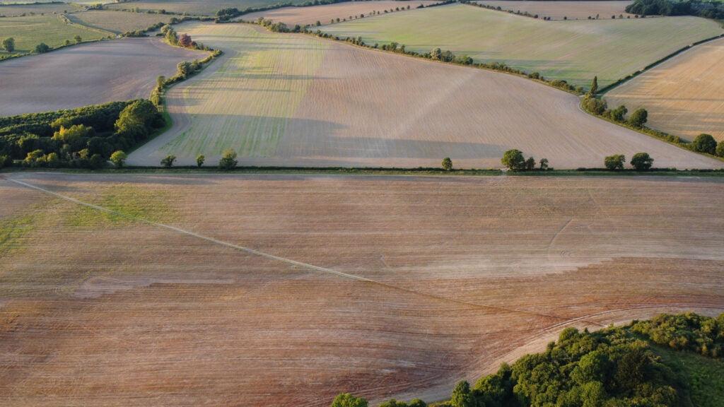 Potencia tus negocios con el solar.